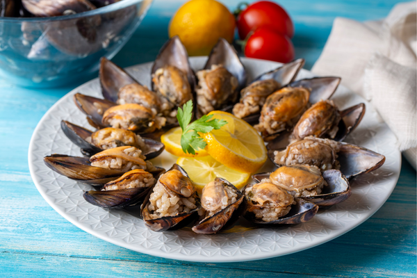 Gala Derya Taze Midye